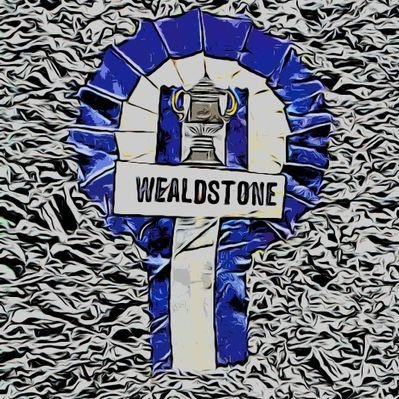 Email memberships@wealdstonefc.com for details on how you can really help your club!