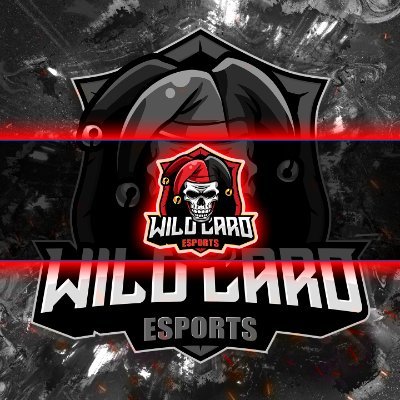 Co-Owners of WildCard Esports @CardEsports