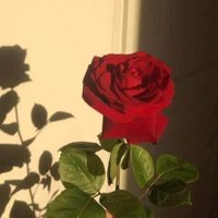 R (@www21512) 's Twitter Profile