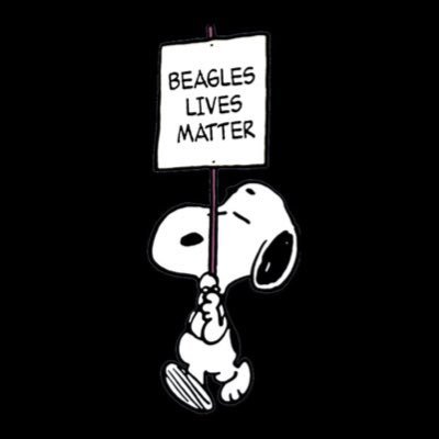 Beagles lives matter! 🐾♥️🐾 @beaglefreedom