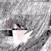 glitch ☭ (@glitchmore_) Twitter profile photo glitch ☭ (@glitchmore_) Twitter profile photo
