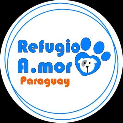 Todos los casos son rescatados por nosotros de situaciones de maltrato y abuso.
En el refugio son mimados y protegidos.
Paraguay