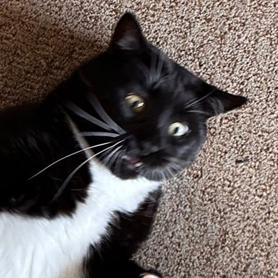 CEOblockbuster's profile picture. real life person ? He/Him