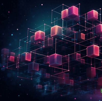 Bitcoin creator and Bitcoin Blockchain Developer