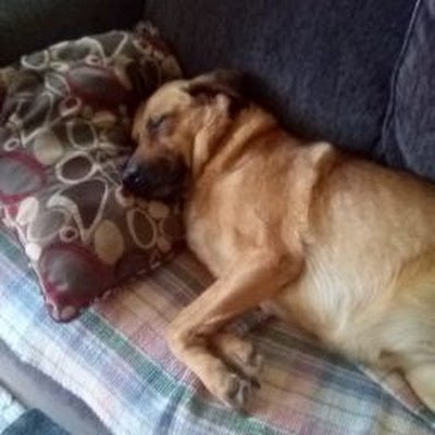 arizpe_ric42702's profile picture. 