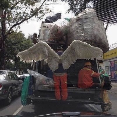 Windows7Xpromax's profile picture. نضيف المرح الى الغذاء