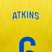 Atkins (@guruatkins) Twitter profile photo