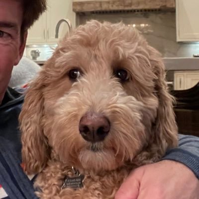 Johnmitchelljr's profile picture. 