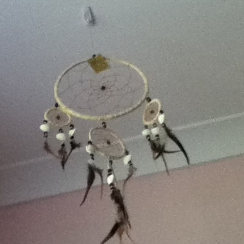 dream big through the dream catchers  make sense??