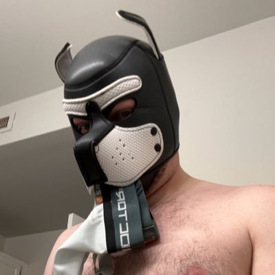 18+ only. young muscle pup called pistachio, sub, I’m new to the gym working hard to play hard, interested in more peep the link https://t.co/Ffu17xXqa1 🐶