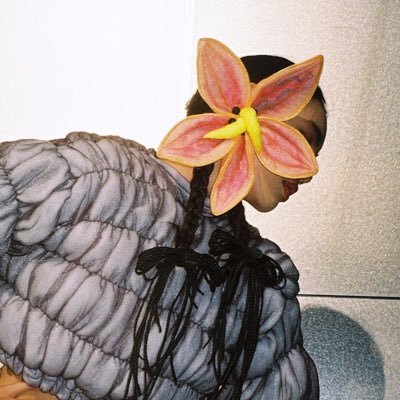 ellebaness's profile picture. a little bit of nonfiction