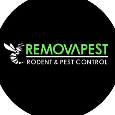 Pest Control MIDLANDS. Rats, Mice, Wasps, Cockroaches, Ants & Flying Insects.