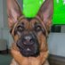 Nieves Torres Garcia (@nievestorresga1) Twitter profile photo Nieves Torres Garcia (@nievestorresga1) Twitter profile photo