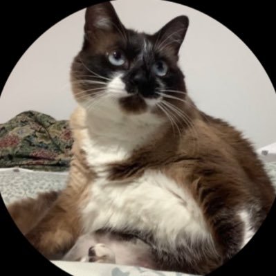 only_my_assole's profile picture. foque na sua felicidade ❤️