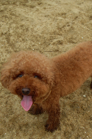 Kayley_Hui's profile picture. The girl who is always baking ;)♥Cupcakes♥Cooking♥Food♥Katy Perry♥Janoskians♥
#TeamFollowBack Celebrities follow me 'cause ...I don't know :D