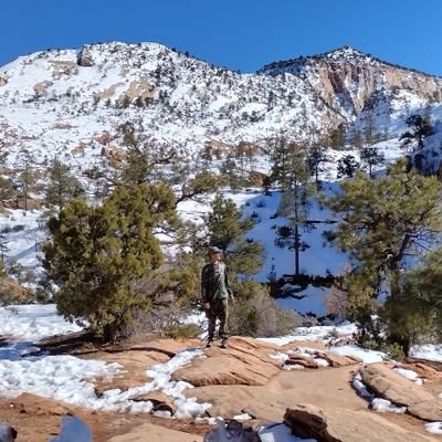 VeganCatBounce's profile picture. Semi human still evolving.