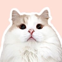 ぽてねのアポロとチロル兄さん (@hachicotton) 's Twitter Profile Photo ぽてねのアポロとチロル兄さん (@hachicotton) 's Twitter Profile Photo