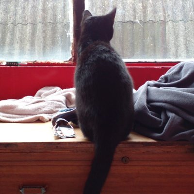 wladiwart's profile picture. dandole a los juegos NFT