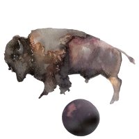 Santa Rosa Records (@strosa77) 's Twitter Profile