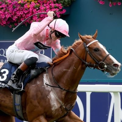 🇮🇪 | Professional jockey based in Malton @EasterbyTim | Proudly sponsored by Northpoint Fire & Security 🏇🏇