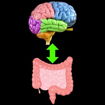 🧠 Health coach for mental and physical health issues.                   🫀 Improving/reversing such issues with diet is possible.  
            🦠 Gut ↔️ Brain