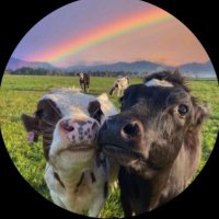 dorian grays last brain cell (@womanmadehorror) 's Twitter Profile Photo dorian grays last brain cell (@womanmadehorror) 's Twitter Profile Photo