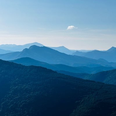 Personne n’est plus détesté que celui qui dit la vérité. Platon