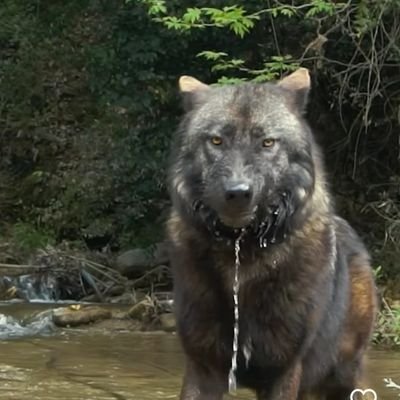 konster7's profile picture. Unico