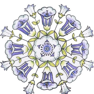 仁敷典子/イラストレーターさんのプロフィール画像
