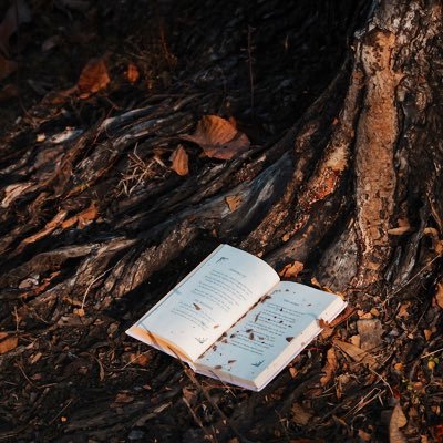 sekaiju_books's profile picture. 🌲読了本の紹介＆感想＆考察のための情報を発信中🌲| 出会った本から「人」と「人生」をじっくり考えるWEBメディア『世界樹』を運営 | 読了後記事と読者インタビューを掲載 #読書好きと繋がりたい