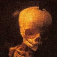 AKIRA (@fuckakira_) 's Twitter Profile Photo