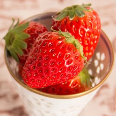 ichigo111115's profile picture. ダンディアドセンスに振られ続けている片想いアカウント。ブログ続けてたらフリーランスになりました。でも1人でコソコソ辛いから会社員になりたい人