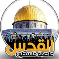 Mohamed Elsayed (@abomak3) 's Twitter Profile