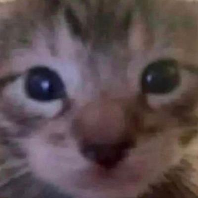 AlbertoOrranti4's profile picture. 