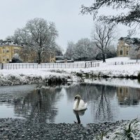 Hartwell House(@hartwellhouse) 's Twitter Profile Photo