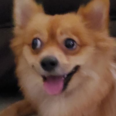 teklee49's profile picture. 