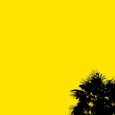DesignTico's profile picture. 