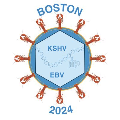 June 29-July 3rd! Marking the 60th Anniversary of the Discovery EBV & 30th Anniversary of the Discovery KSHV, 3rd Int'l Joint Meeting in Boston