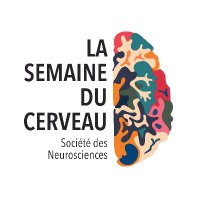 Semaine du Cerveau(@Semaine_Cerveau) 's Twitter Profile Photo