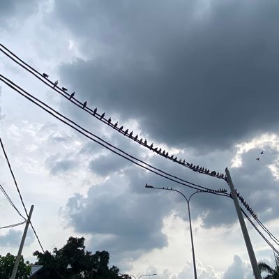 yesismejustin's profile picture. 