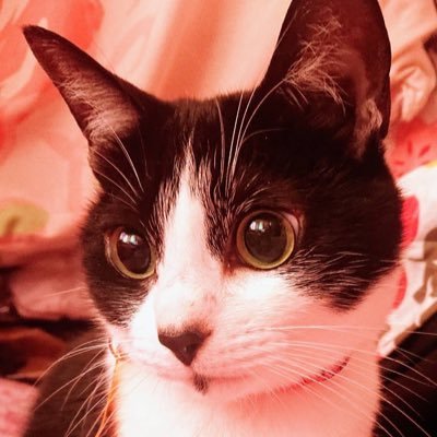 モンハンワールドフレンド少ないけど闘技ta好きなんです٩( ᐛ )و 平日朝遊べるフレンド欲しいなぁ! https://t.co/YRi37NoXCu
