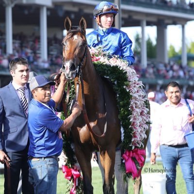 Official account for Jockey Tyler Gaffalione