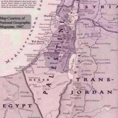 freepalstne's profile picture. 