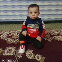 محمد حمزہ (@tehsinullah2021) 's Twitter Profile