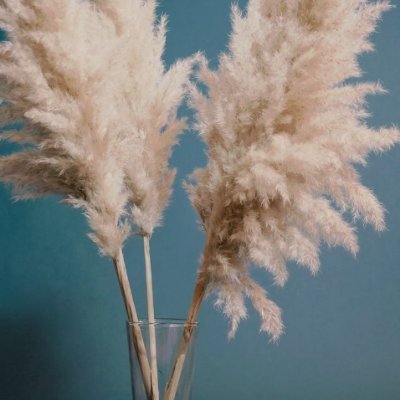 MarjoryOsb54329's profile picture. 