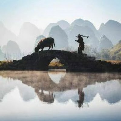 zhiyedandan's profile picture.