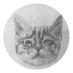 🐾 𓂀 𝑀𝒾𝓎𝒶𝓌𝓈𝓊 (@themiyawsu) Twitter profile photo 🐾 𓂀 𝑀𝒾𝓎𝒶𝓌𝓈𝓊 (@themiyawsu) Twitter profile photo
