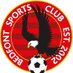 Bedfont Sports (@BSFC_Official) Twitter profile photo