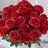 mari_kp1029