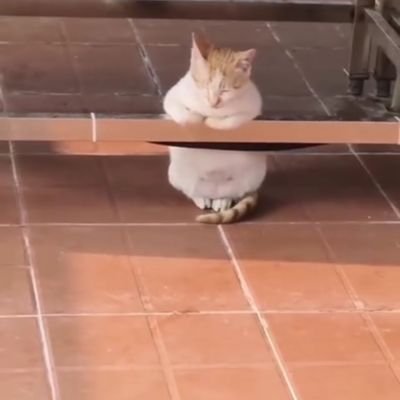 JackSmiley01's profile picture. geo